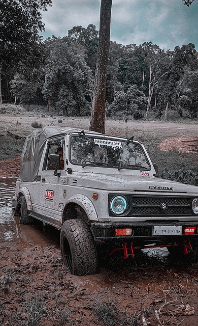 名头球能力 名头球能力