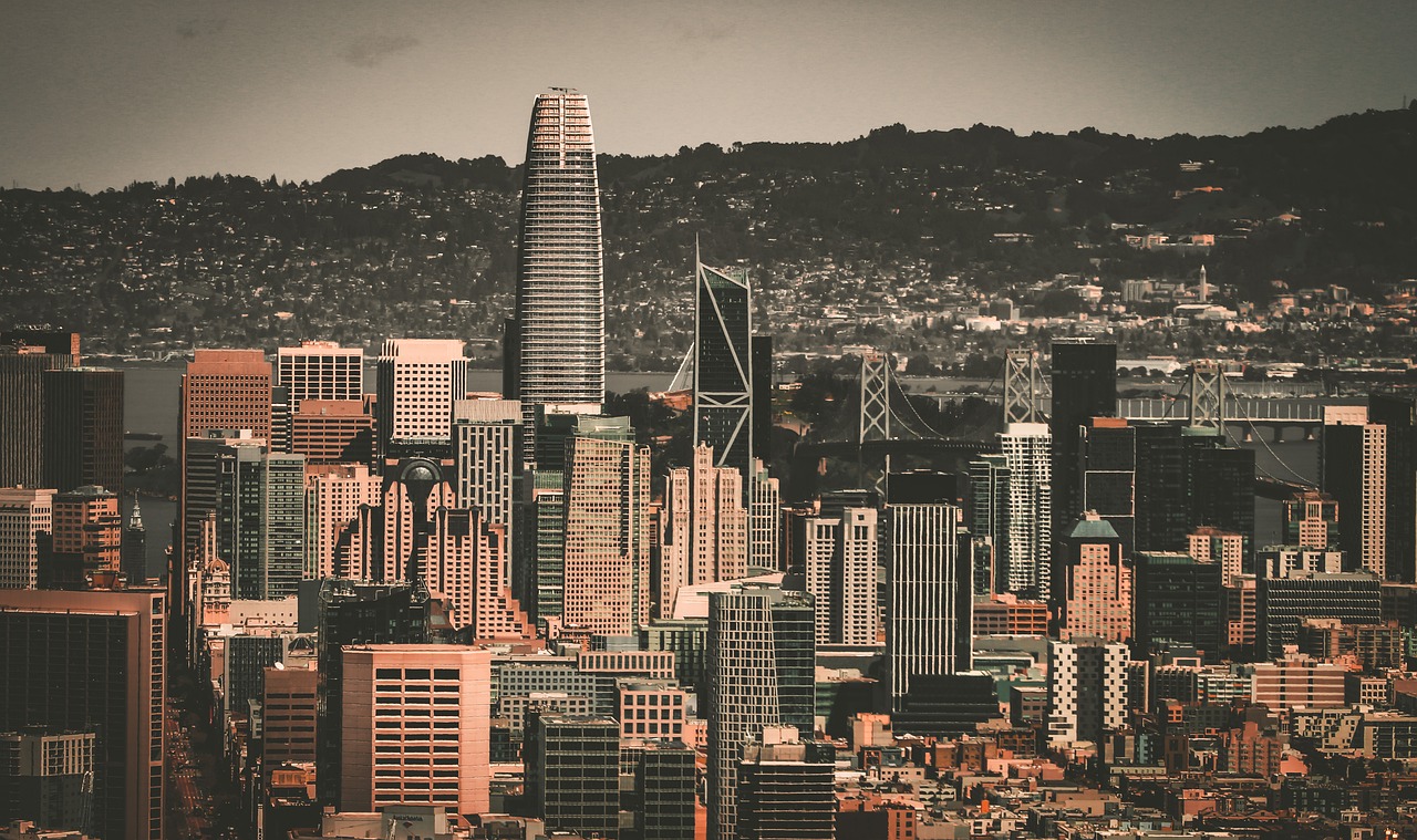 的这一出价 的这一出价