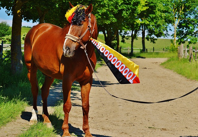 例子就是 例子就是