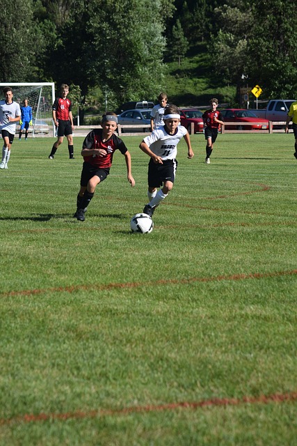 金问题导致 金问题导致