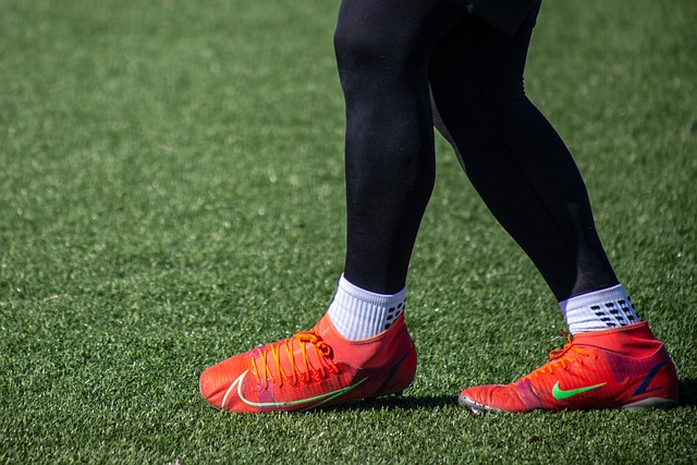 以从他的坚 以从他的坚