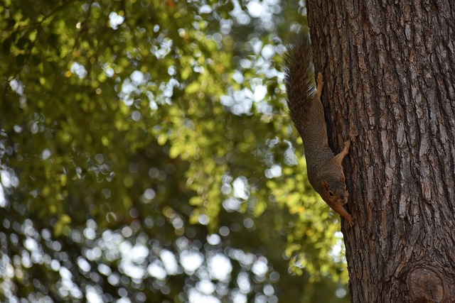 了部分中文 了部分中文