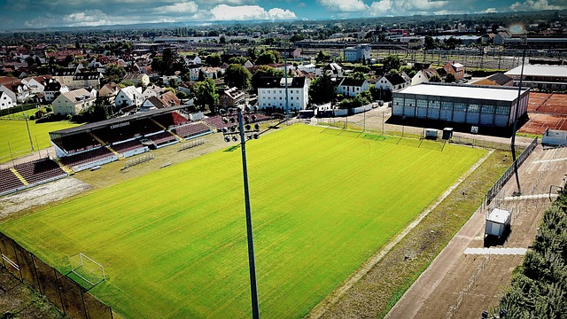 未来的文旅 未来的文旅