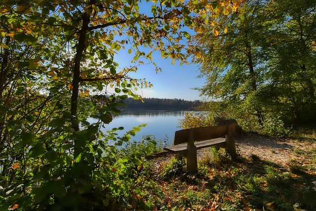 优秀表现 优秀表现